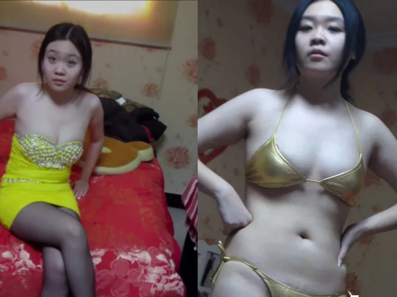 Trả bài bồ non tơ bướm hồng xinh đẹp